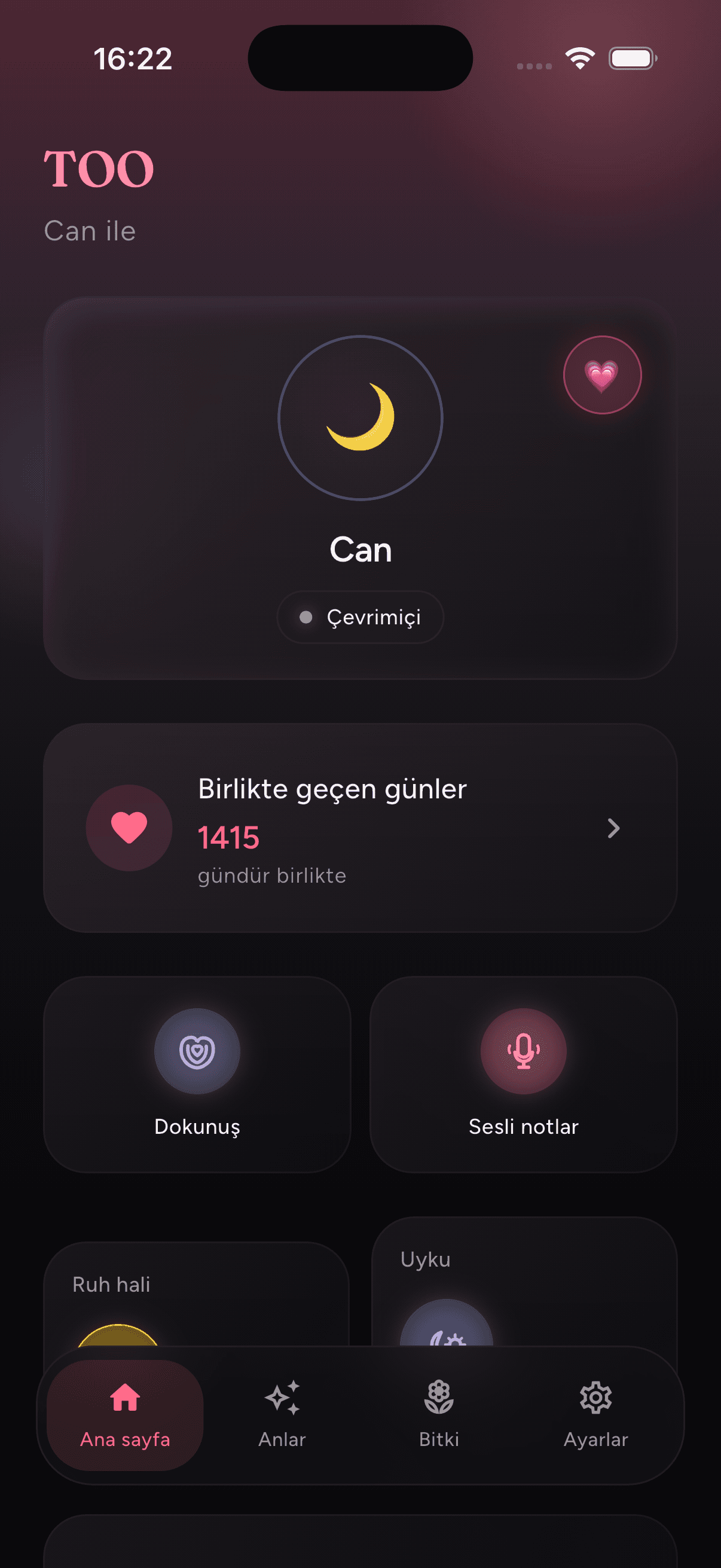 Private connection home screen